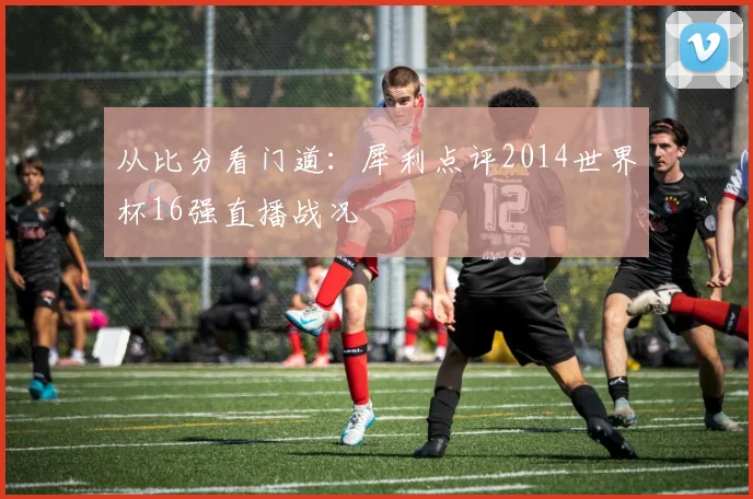 从比分看门道：犀利点评2014世界杯16强直播战况